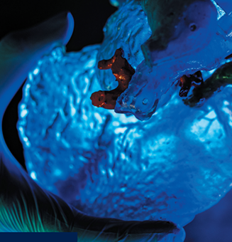 A genome-engineered stem cell tool that mimics the metabolism...