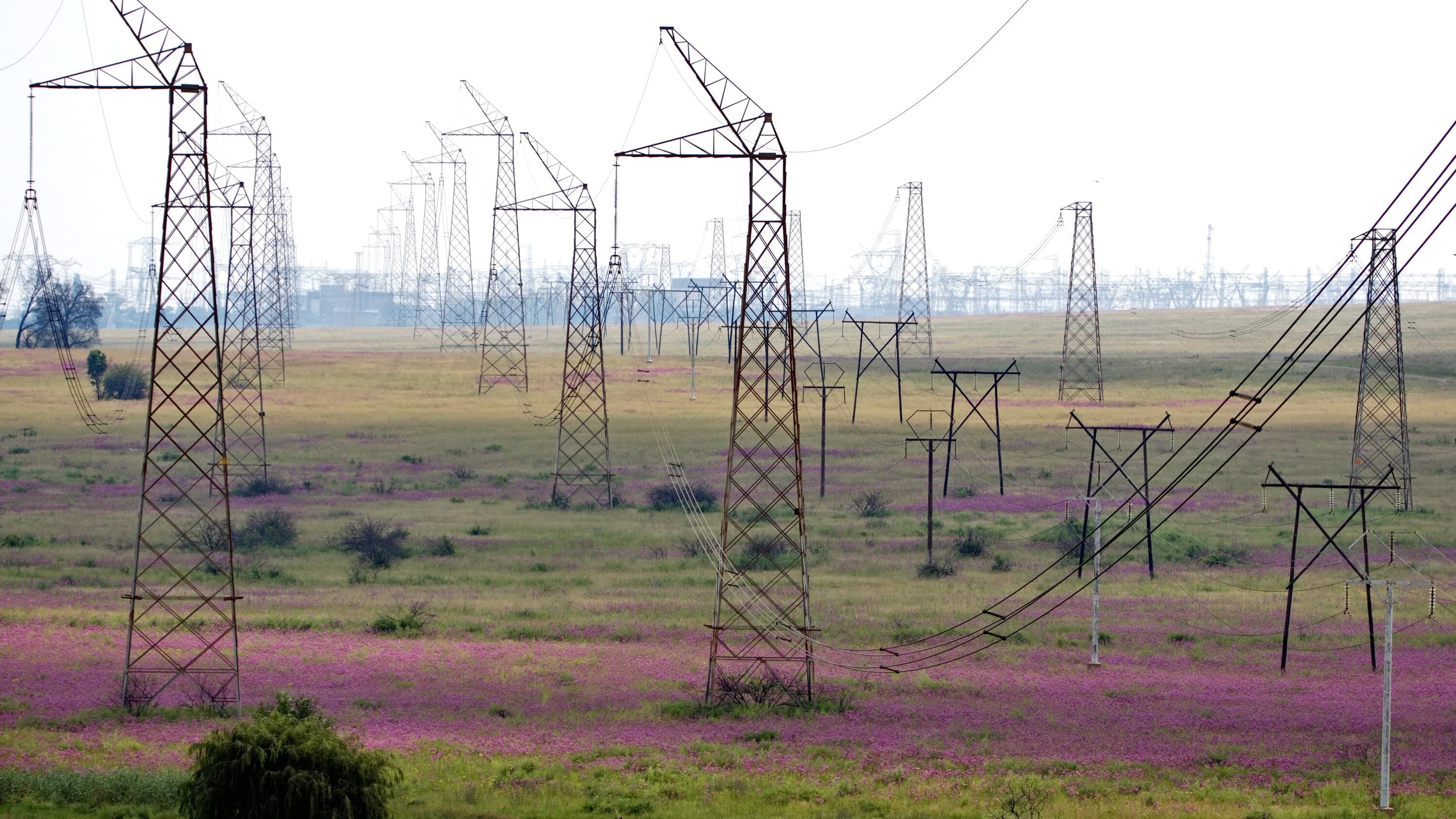 Electrical lines and poles on field