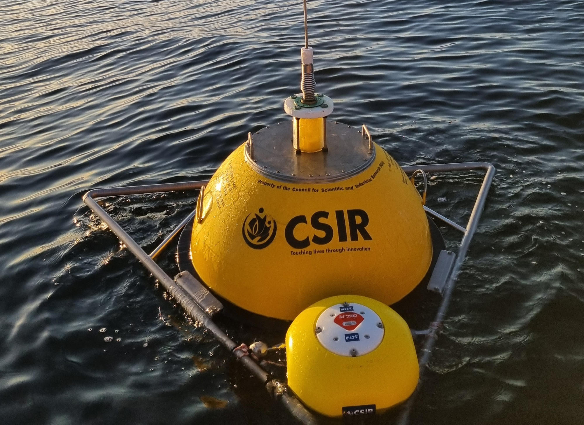 Hand holding a container with yellowish liquid