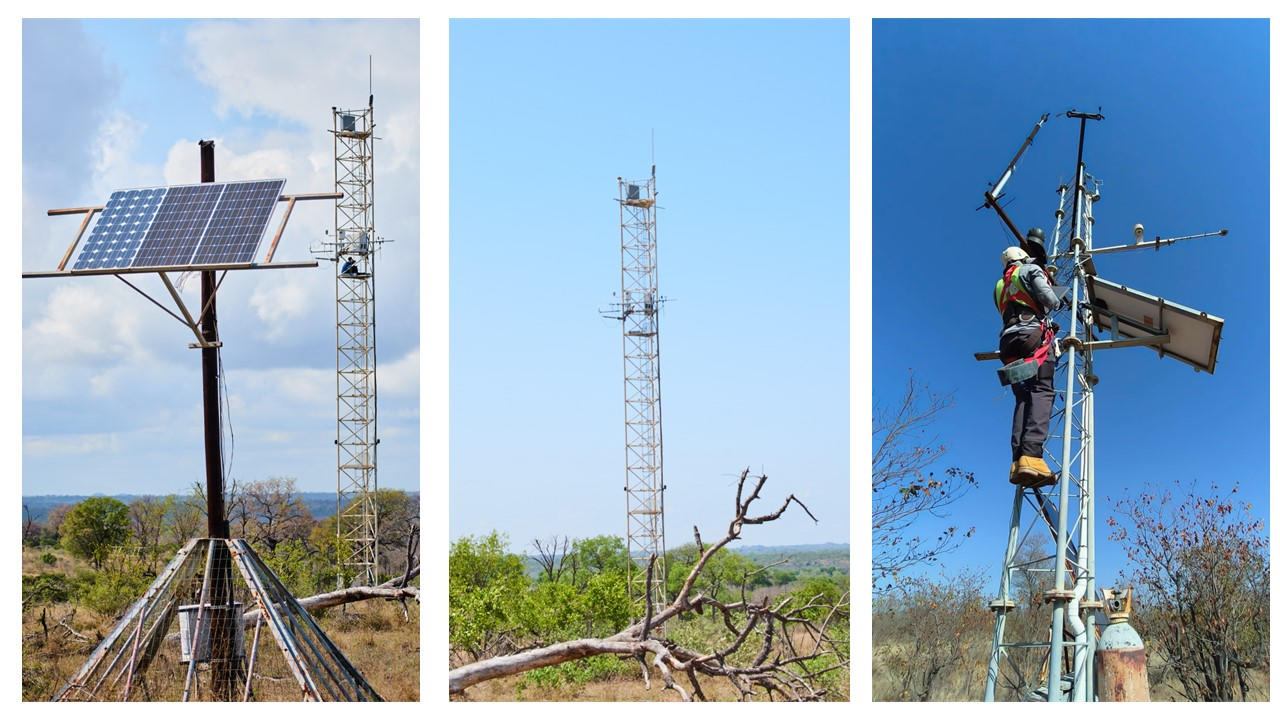 Hand holding a container with yellowish liquid