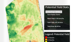 PAIS yield