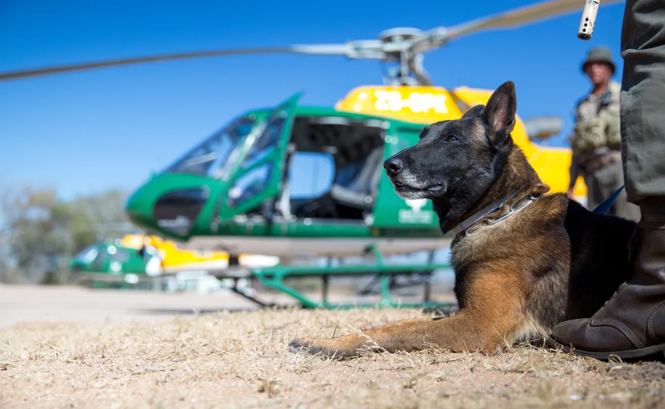 Man pointing at item