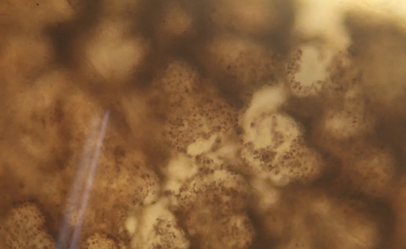 Man pointing at item