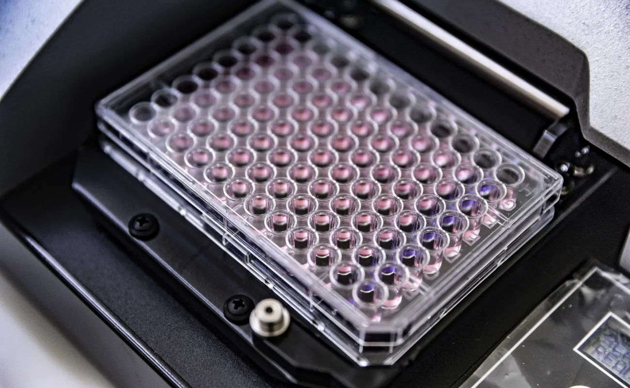 Man pointing at item