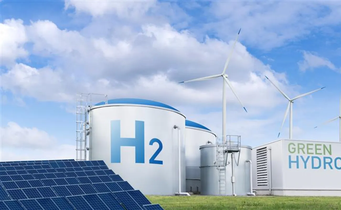 Hand holding a container with yellowish liquid