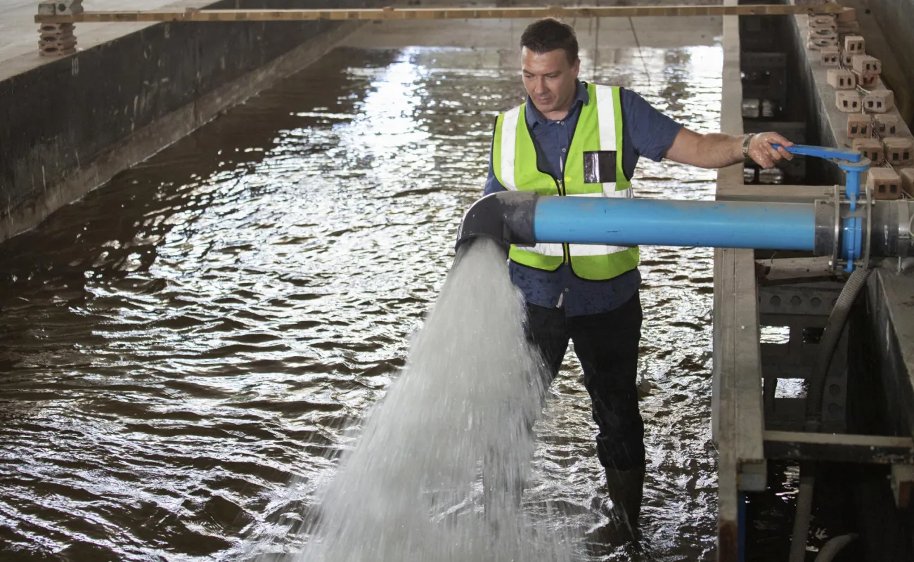 Hand holding a container with yellowish liquid