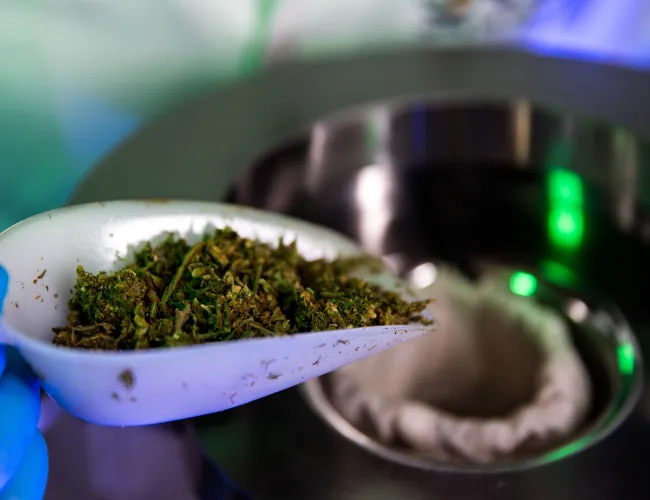 Botanical processing