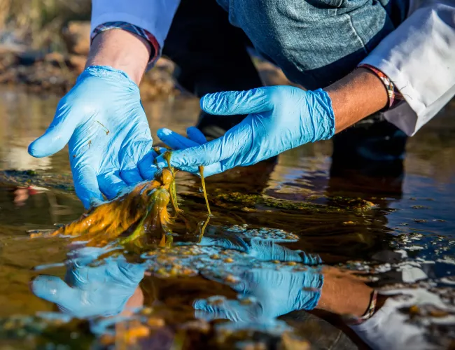 Biodiversity and ecosystem services