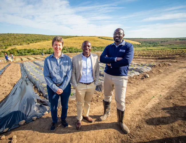 Plastic free farming