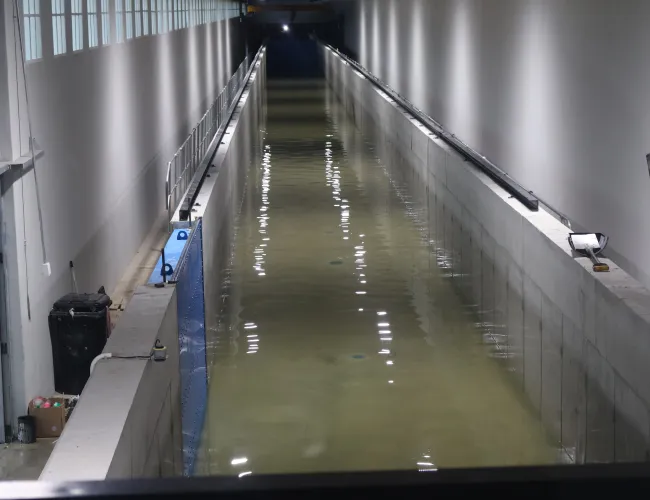 coastal structure performance