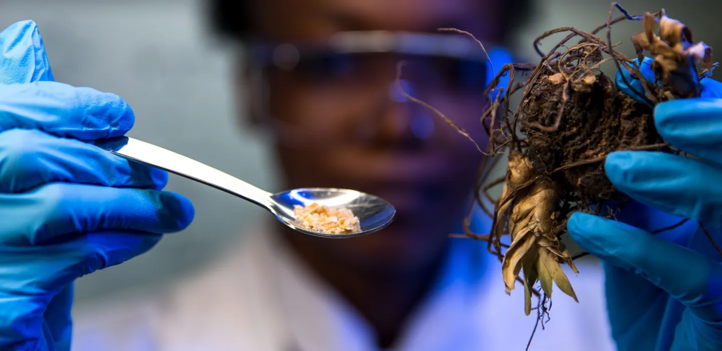 Scientist holding up two items