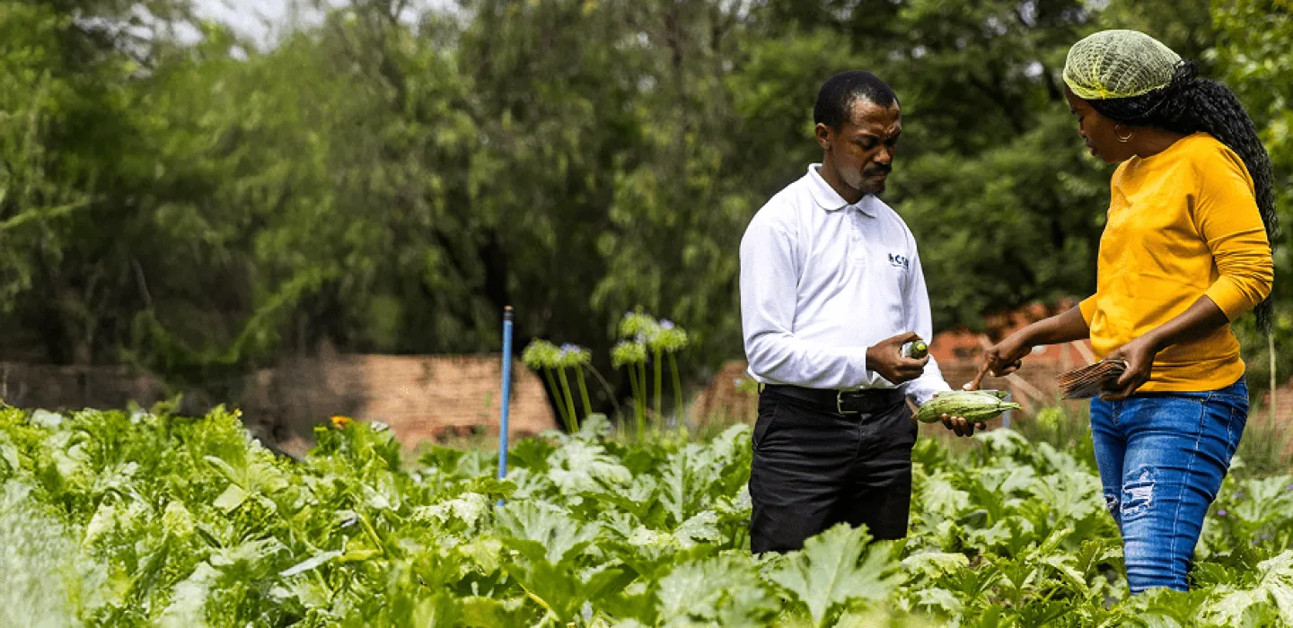 Two people in a field