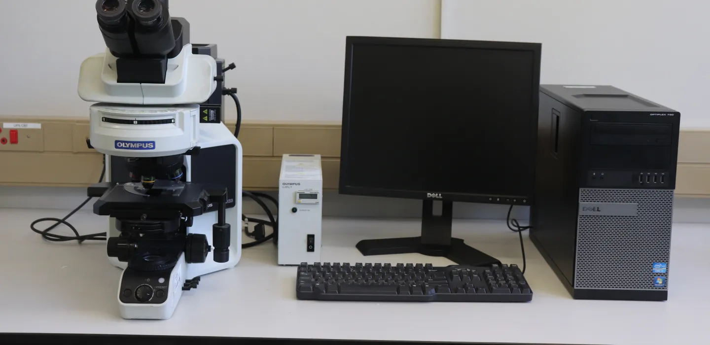 Aquaculture and animal health