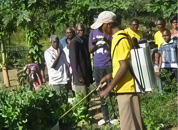 The Southern Africa Network for Biosciences